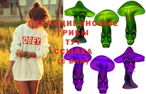 apvp Лиски