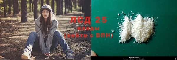 спиды Липки