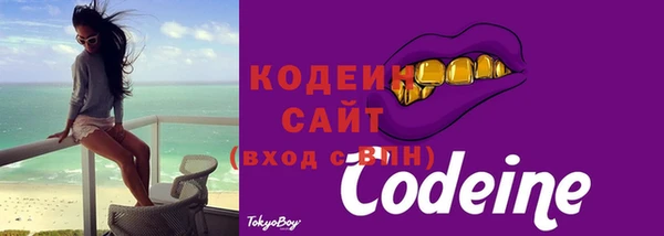 гашик Майский