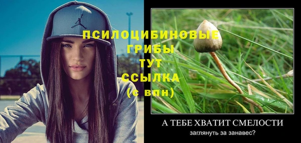 шишки Магадан