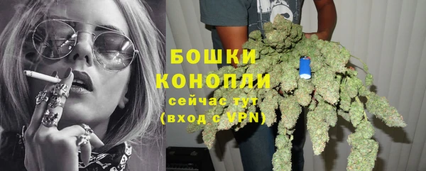 шишки Магадан