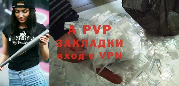 гашик Майский